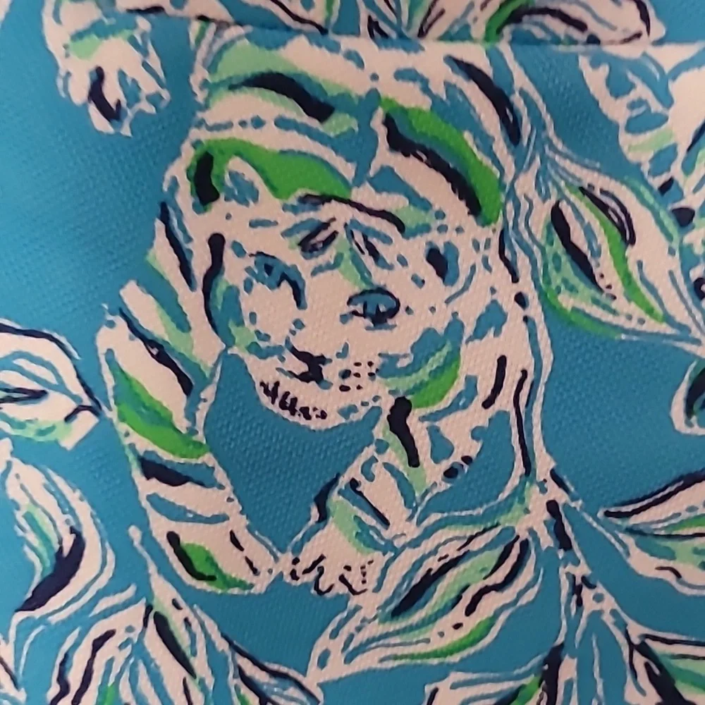 Lilly Pulitzer Blue Floral Print Women’s Shorts
